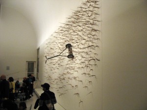 IMG_9687